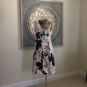 Ann Taylor dress